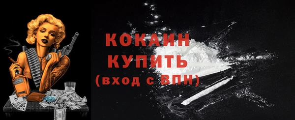 амф Бронницы