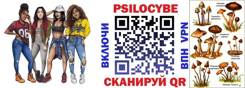 Галлюциногенные грибы Psilocybine cubensis  Гаджиево 